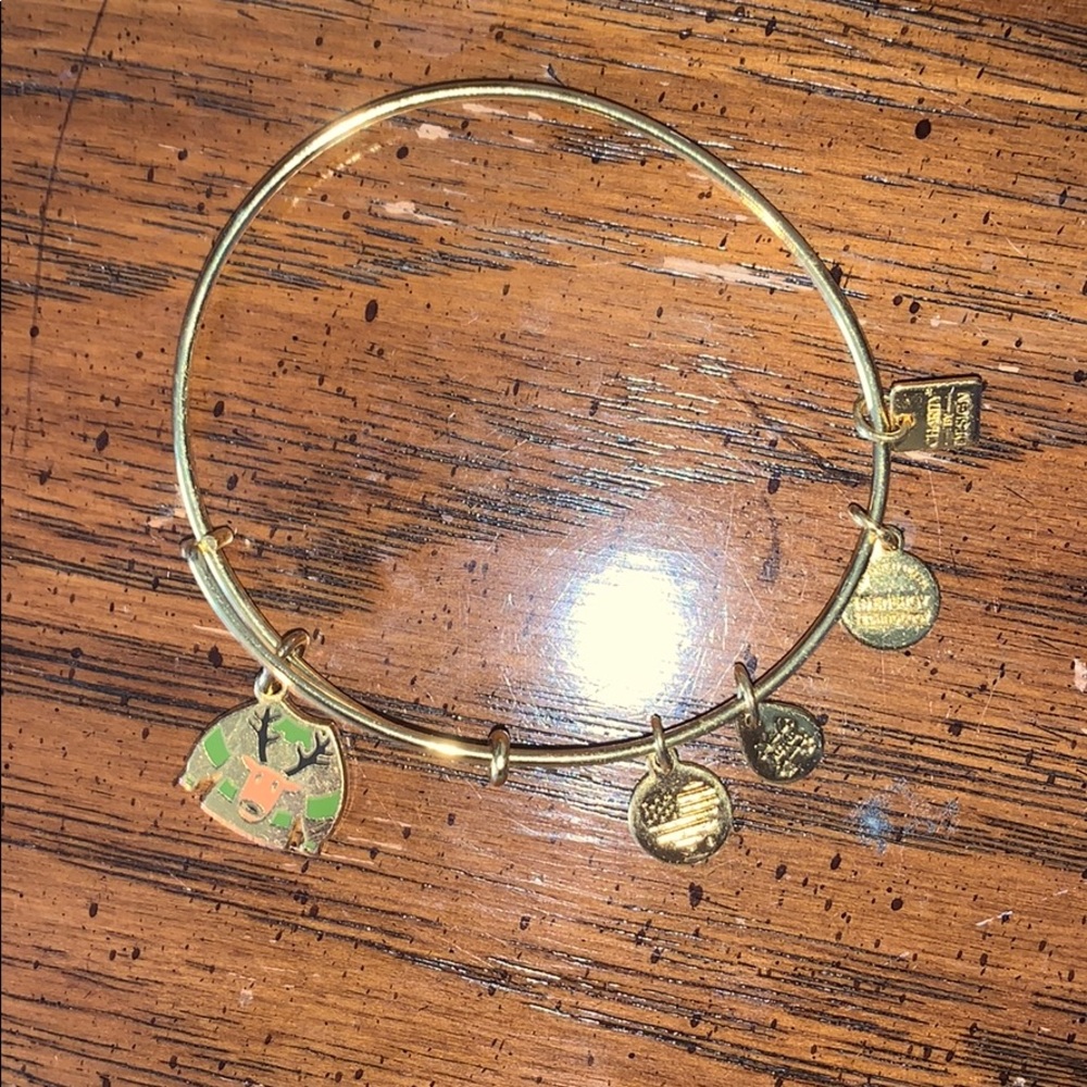 gold alex and ani bracelet with sweater charm